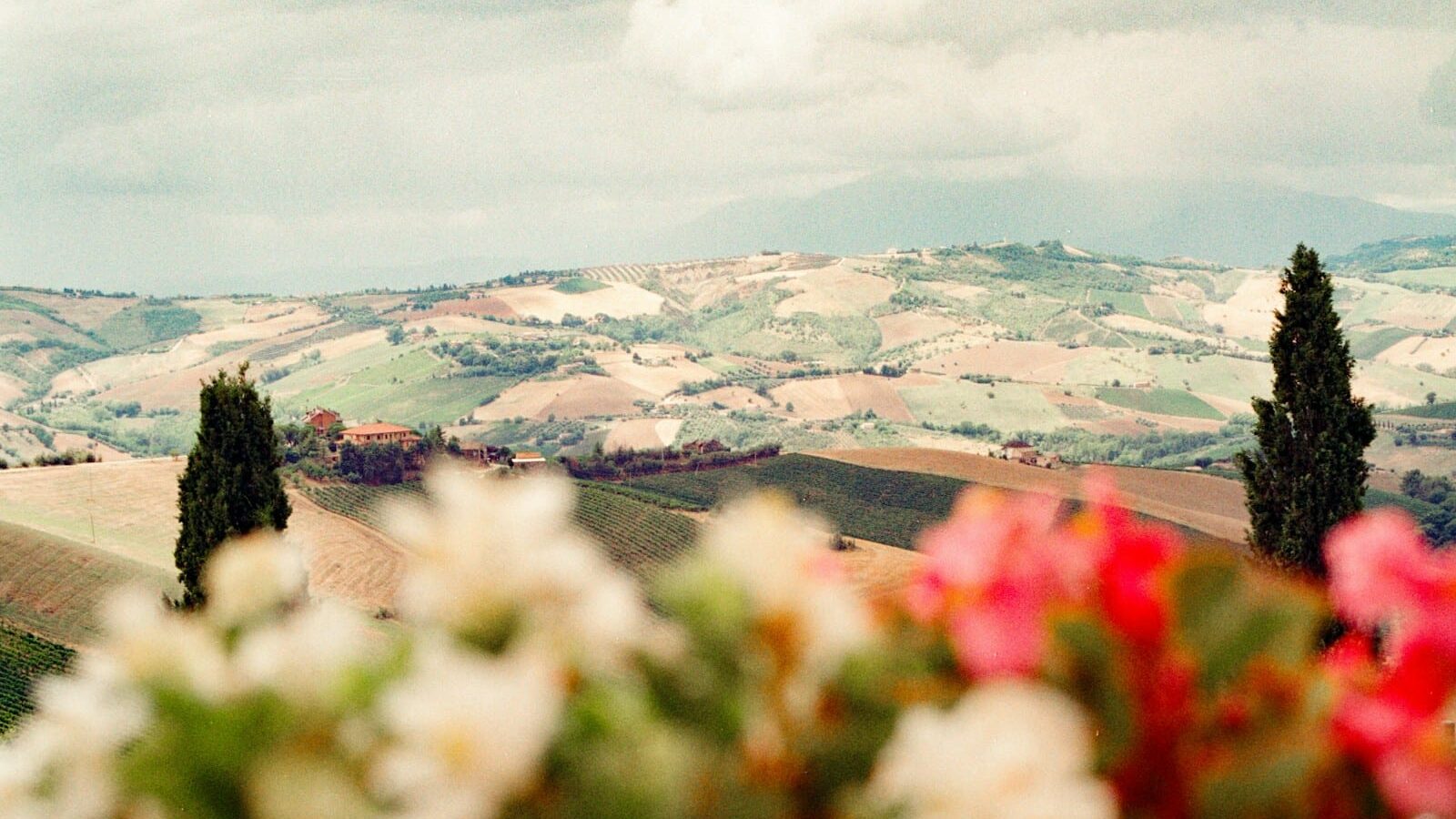 A view across Tuscan farmland and cypress trees from an agriturismo terrace