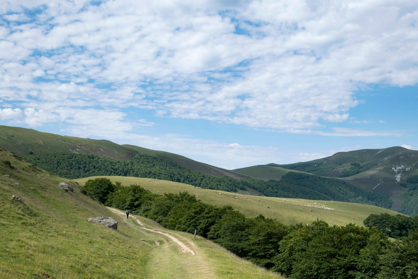 A gravel road climbing through Pyrenean mountains on a fully serviced, supported gravel tour route