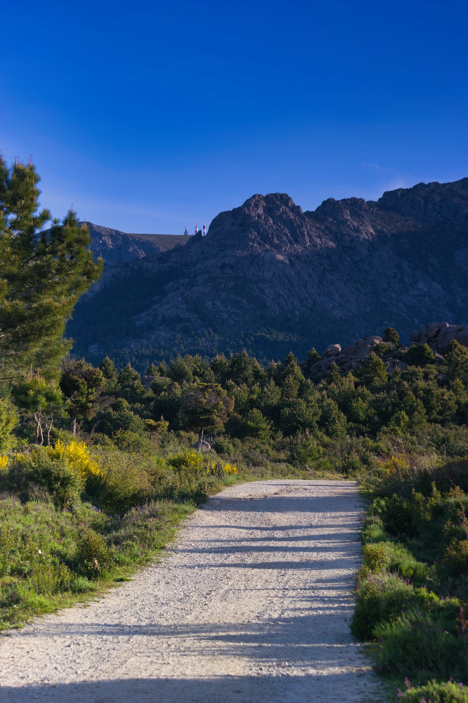 Trans Cyprus Gravel — Troodos.