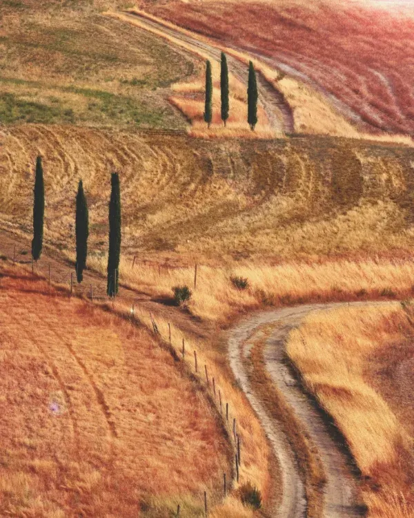 Tuscany Gravel — Strade bianche.